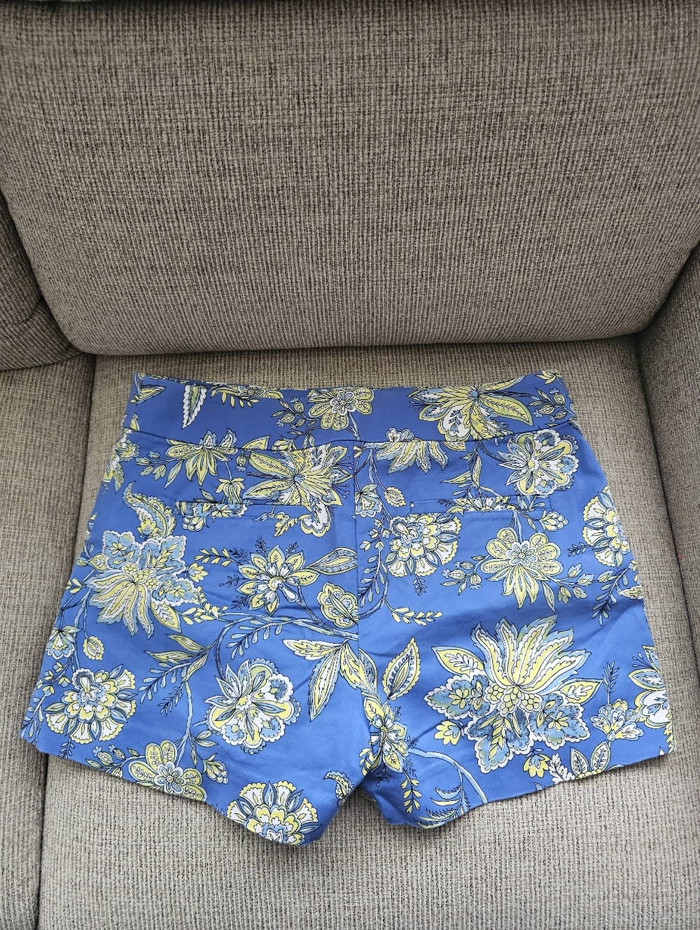 LOFT Riviera Shorts - Picture 4 of 6